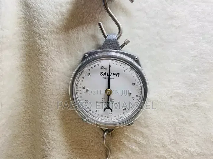 Original Salter Hanging Scale
