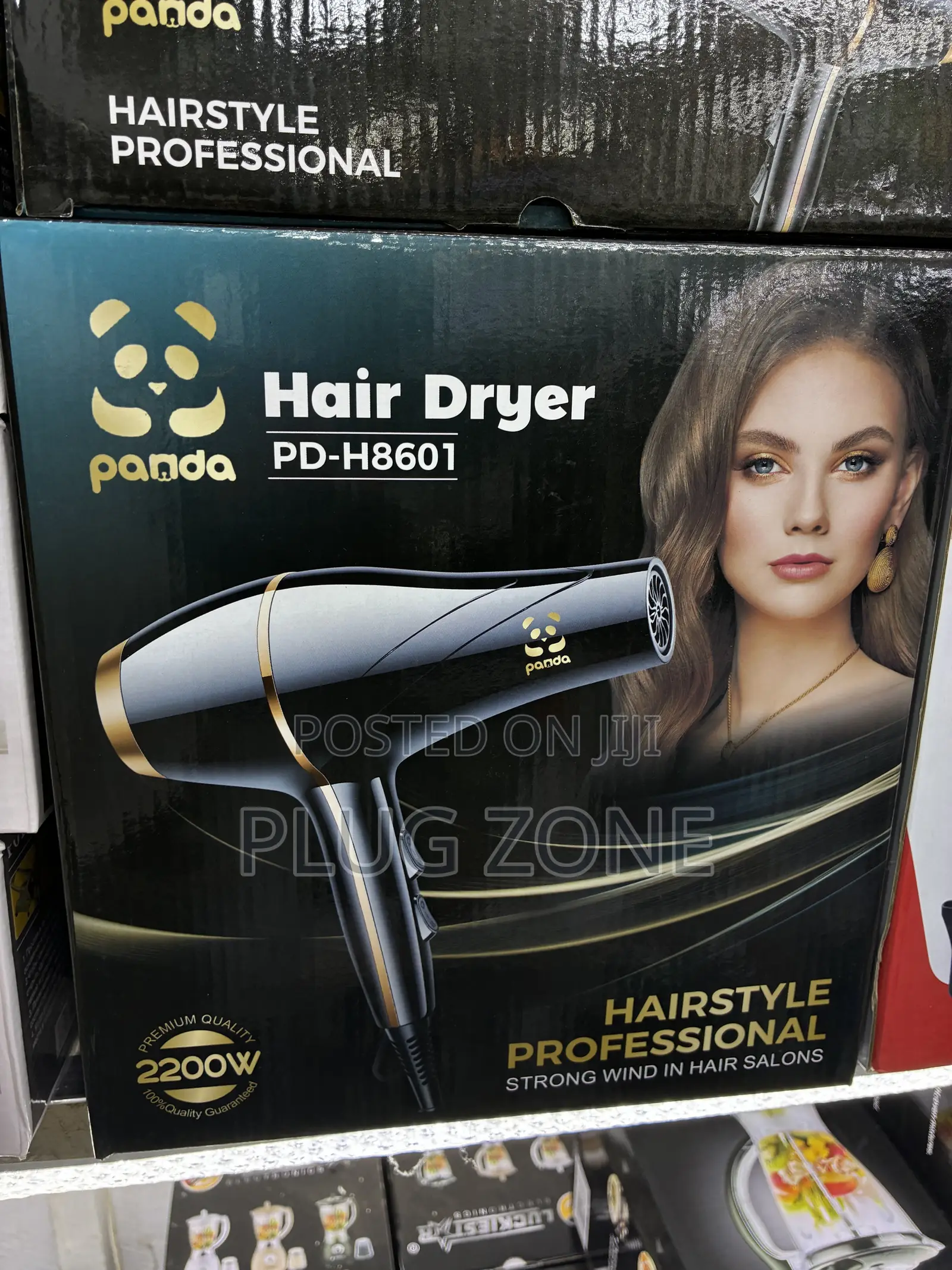 Pardo Hair Dryer