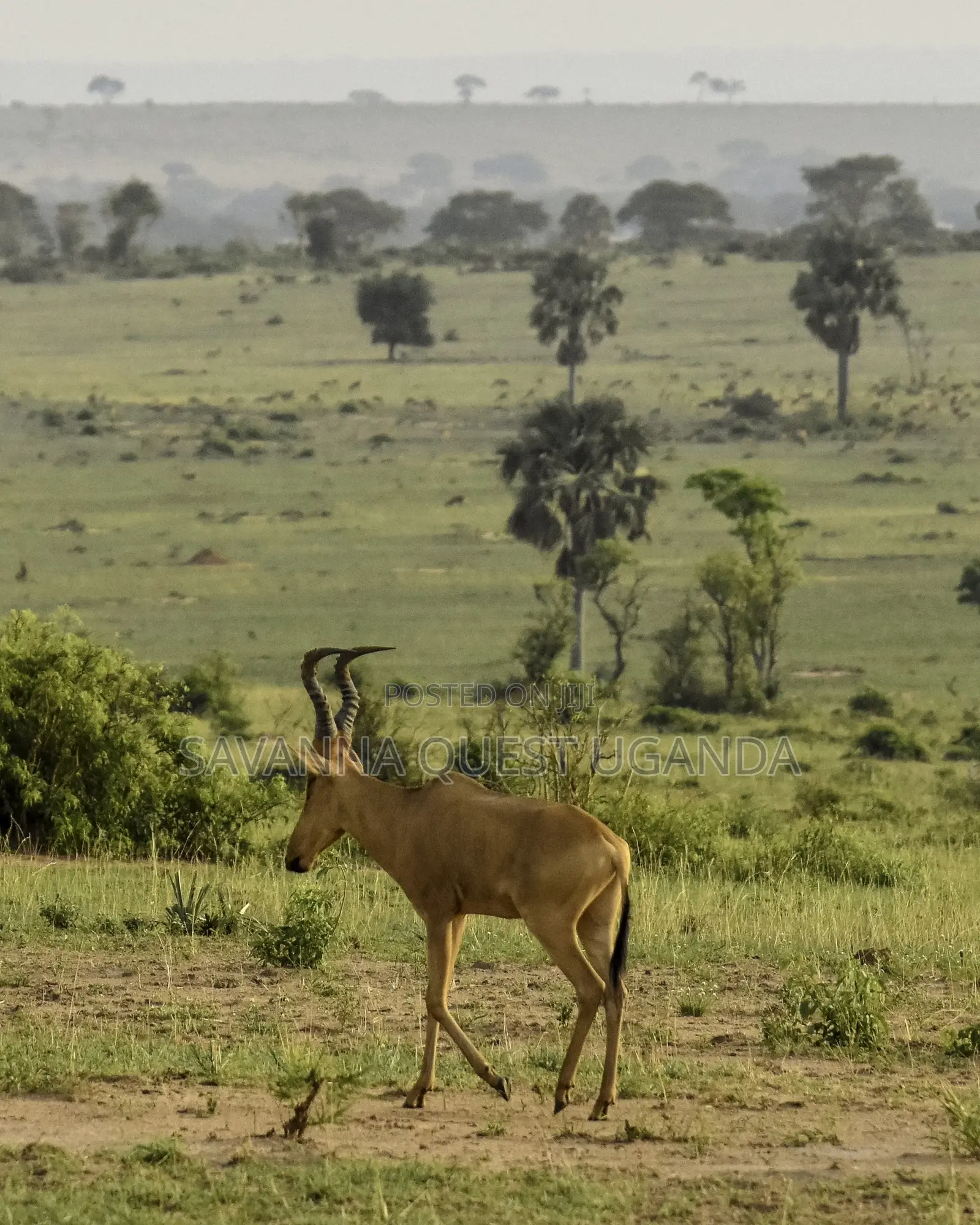 3 Day Murchison Venture