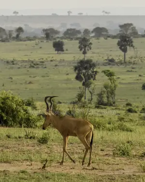 3 Day Murchison Venture