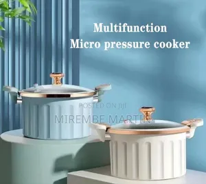 Multifunctional Micro Pressure Cooker