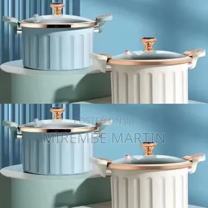 Multifunctional Micro Pressure Cooker