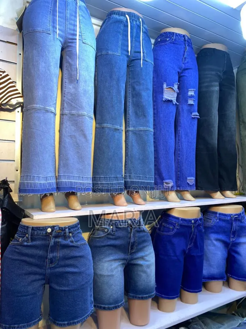 Olyz Collection