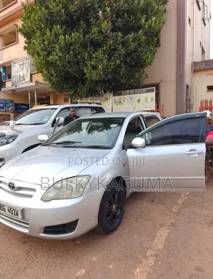 Toyota Allex 2003 Silver