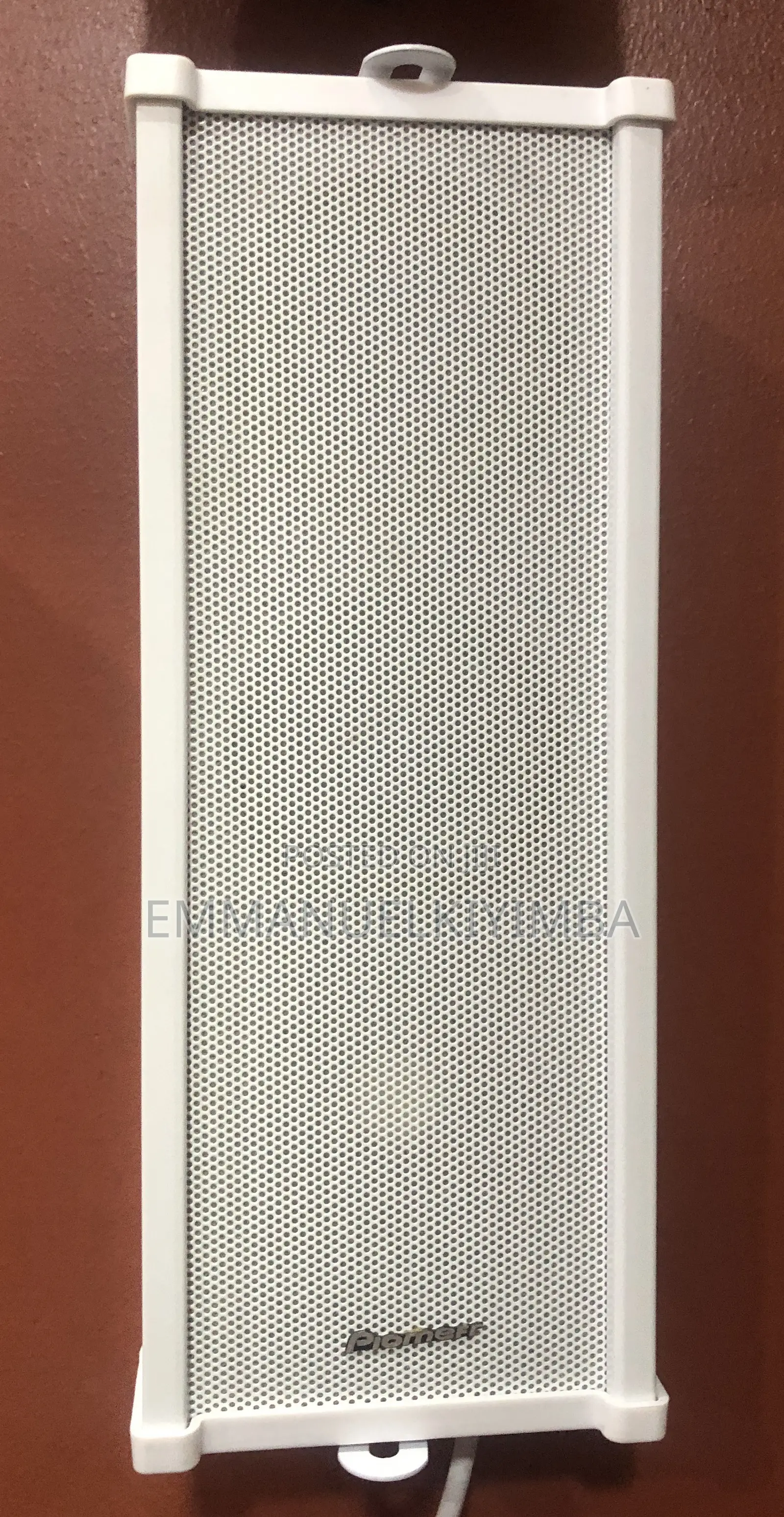 Pioneer Colomn Speakers