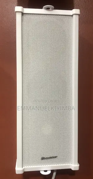 Pioneer Colomn Speakers