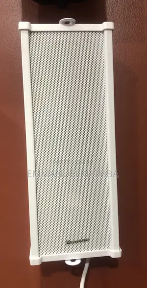 Pioneer Colomn Speakers