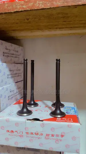 Engine Valves