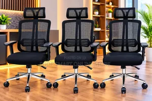 1Pcs Published Ergonomic Office Chair Office Chair