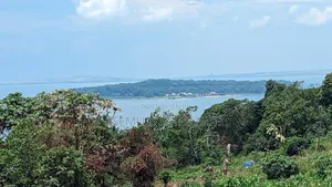 Land for Sale in Kalangala