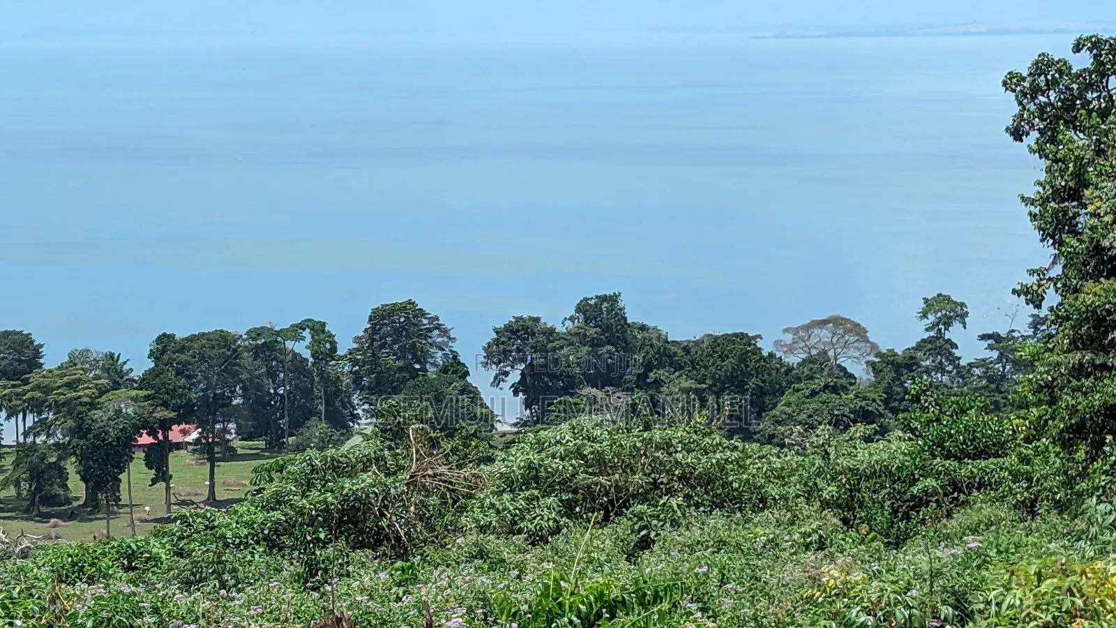 Land for Sale in Kalangala
