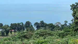 Land for Sale in Kalangala