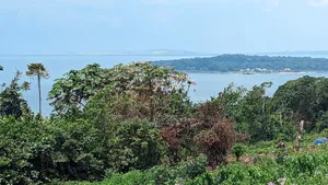 Land for Sale in Kalangala