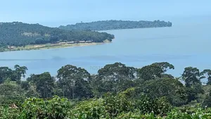 Land for Sale in Kalangala