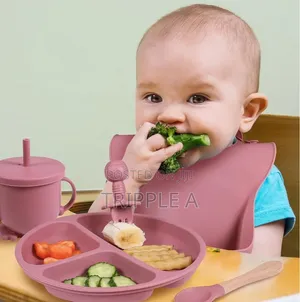 Baby Silicone Feeder Set