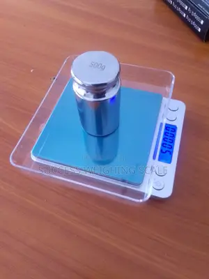 Portable Weighing Scale Digital Weigh 500g/0.01g Weighing Scale