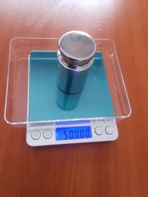 Portable Weighing Scale Digital Weigh 500g/0.01g Weighing Scale