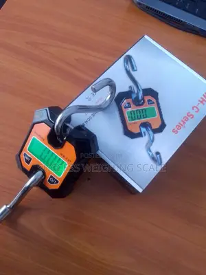 Mini Crane Weighing Scale Digital Weigh 200kg Weighing Scale
