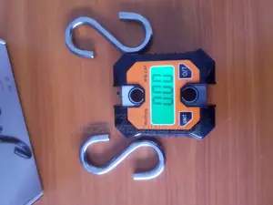Mini Crane Weighing Scale Digital Weigh 200kg Weighing Scale