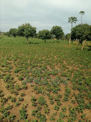 Plot for Sale Located in Bugiri Town East Division