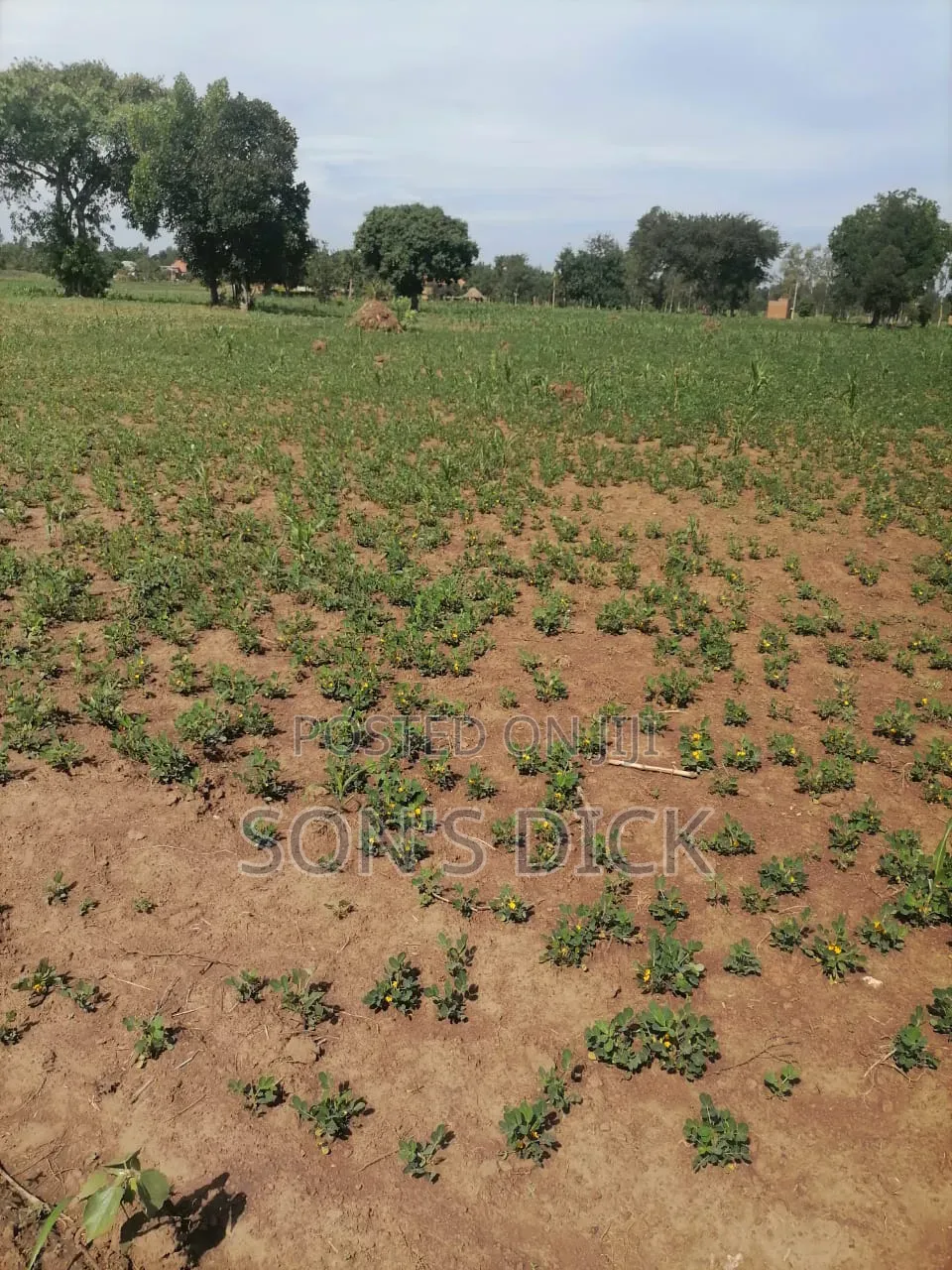 Plot for Sale Located in Bugiri Town East Division