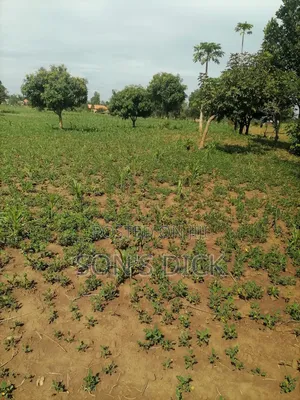 Plot for Sale Located in Bugiri Town East Division