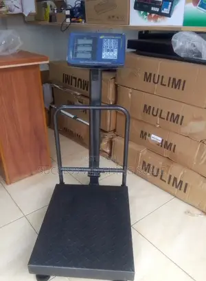 Electronic Weighing Scale Platform Weigh 400kg Weighing Scale