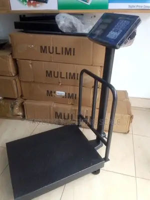 Electronic Weighing Scale Platform Weigh 400kg Weighing Scale