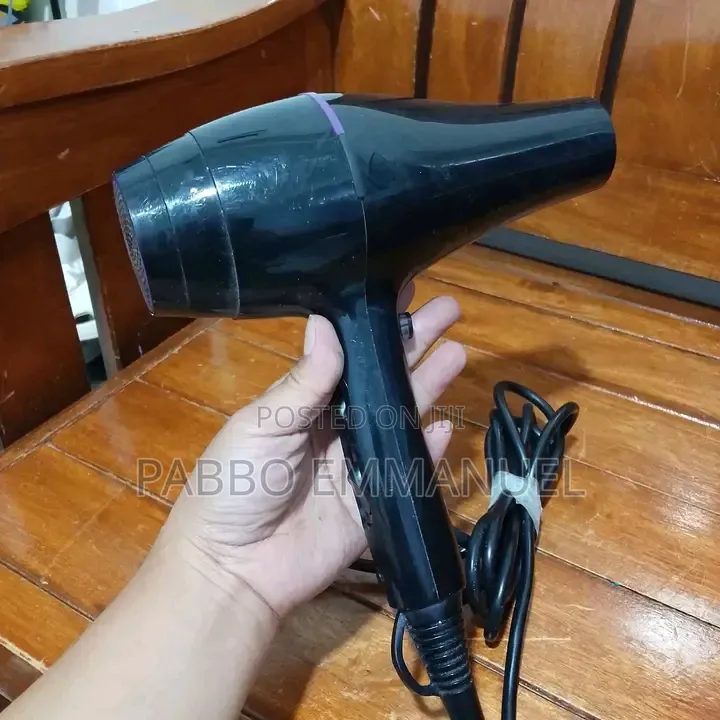 Sayonaps Professional Hair Dryer