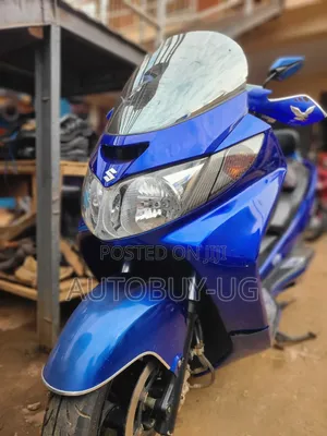 Suzuki 2010 Blue