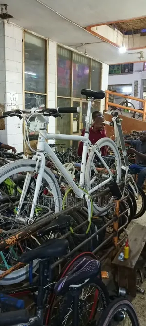 Sport Bicycle