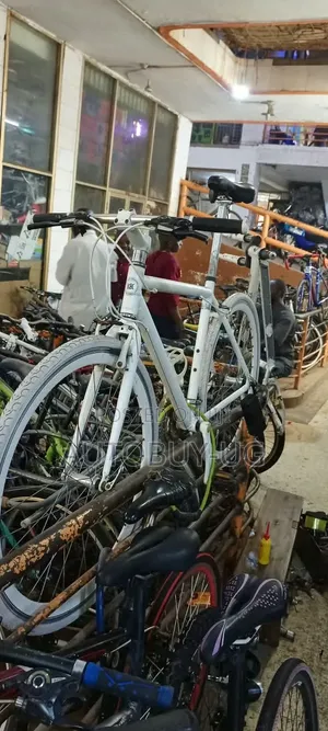 Sport Bicycle