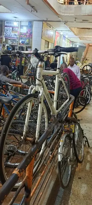 Sport Bicycle