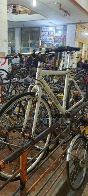 Sport Bicycle