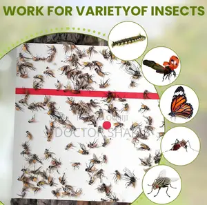 Trap Expert Flying Insect Glue Sticker