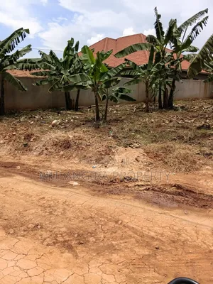 50by100ft Plot for Sale in Gayaza Nakwero at 60m