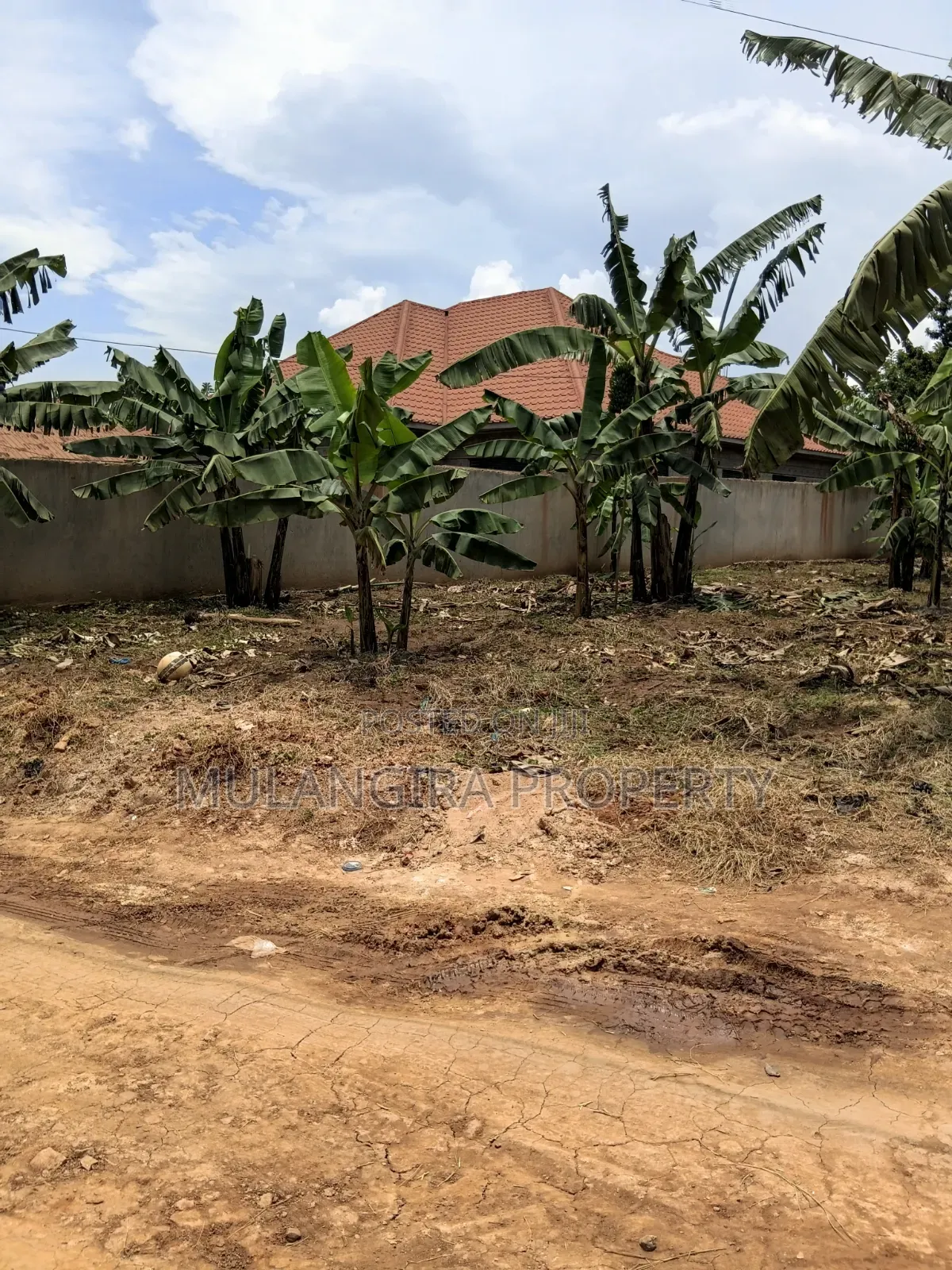 50by100ft Plot for Sale in Gayaza Nakwero at 60m