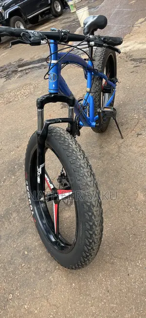 Big Tyre Bicycle