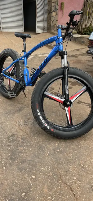 Big Tyre Bicycle