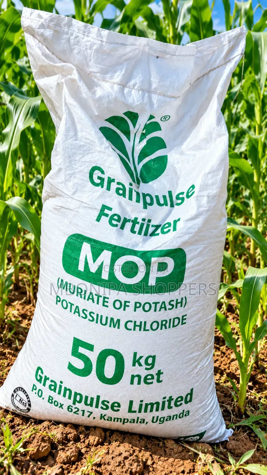 Grain Pulse MOP for Maize and Coffee Fertilizer