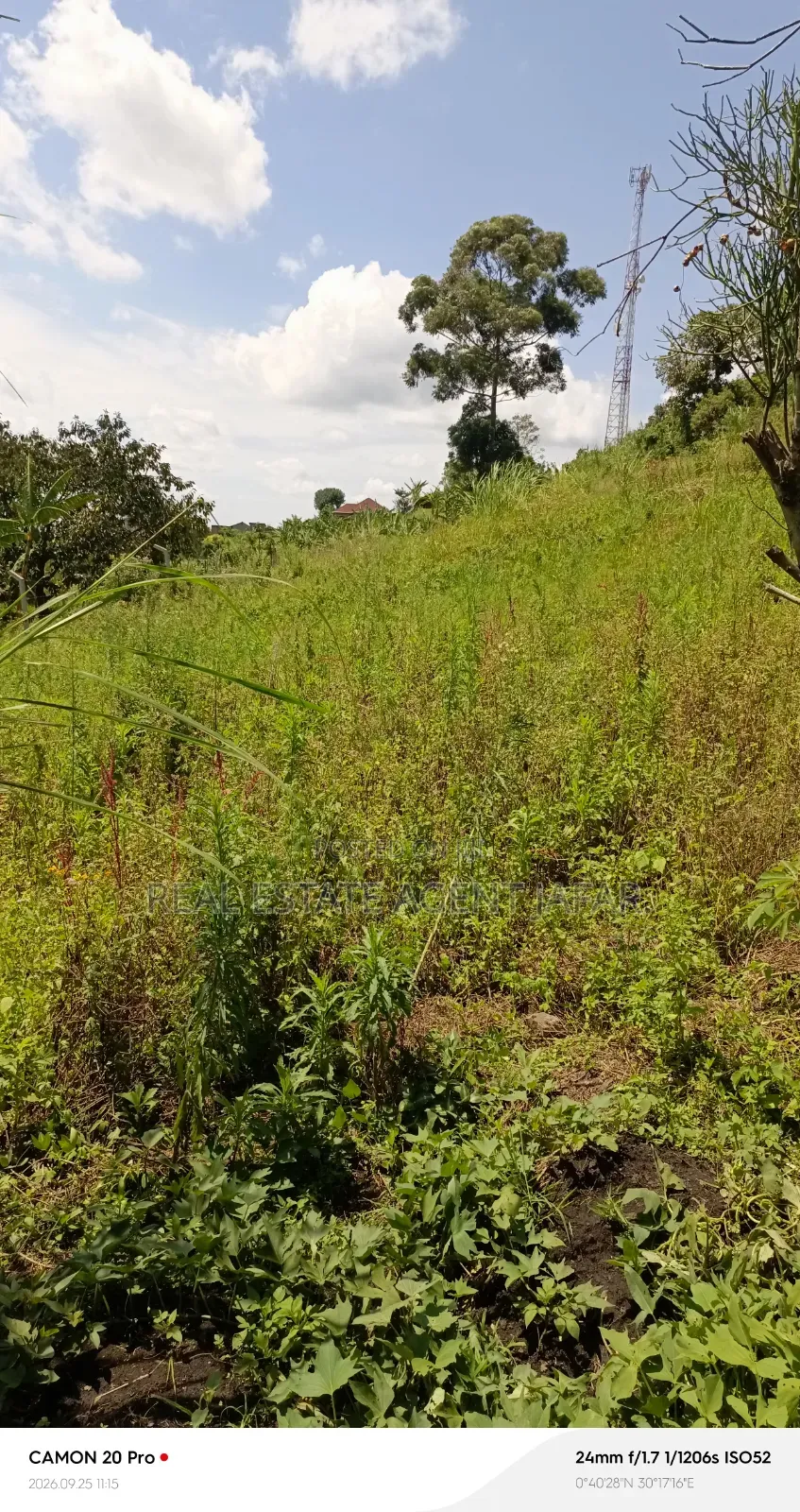 1.5 Acres Titled Land for Sale in Booma, Fort Portal City.