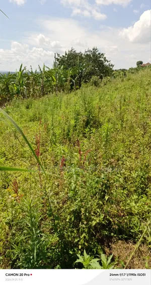 1.5 Acres Titled Land for Sale in Booma, Fort Portal City.