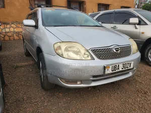 Toyota Corolla Fielder 2007 Silver