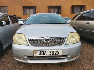 Toyota Corolla Fielder 2007 Silver