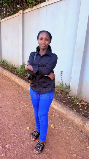 I Am Looking for a Job