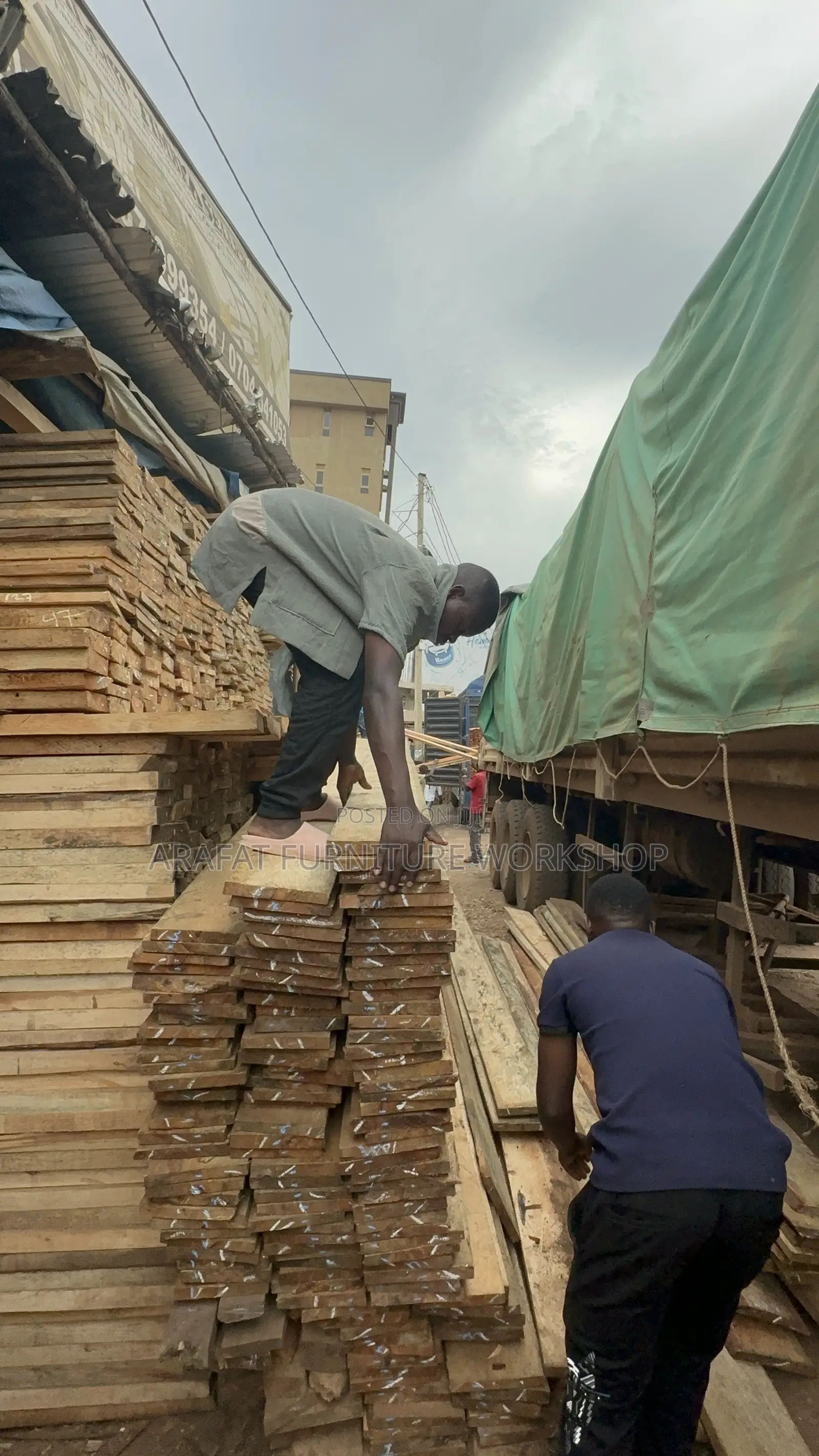 Pine and Eucalyptus Timber Building Supplier
