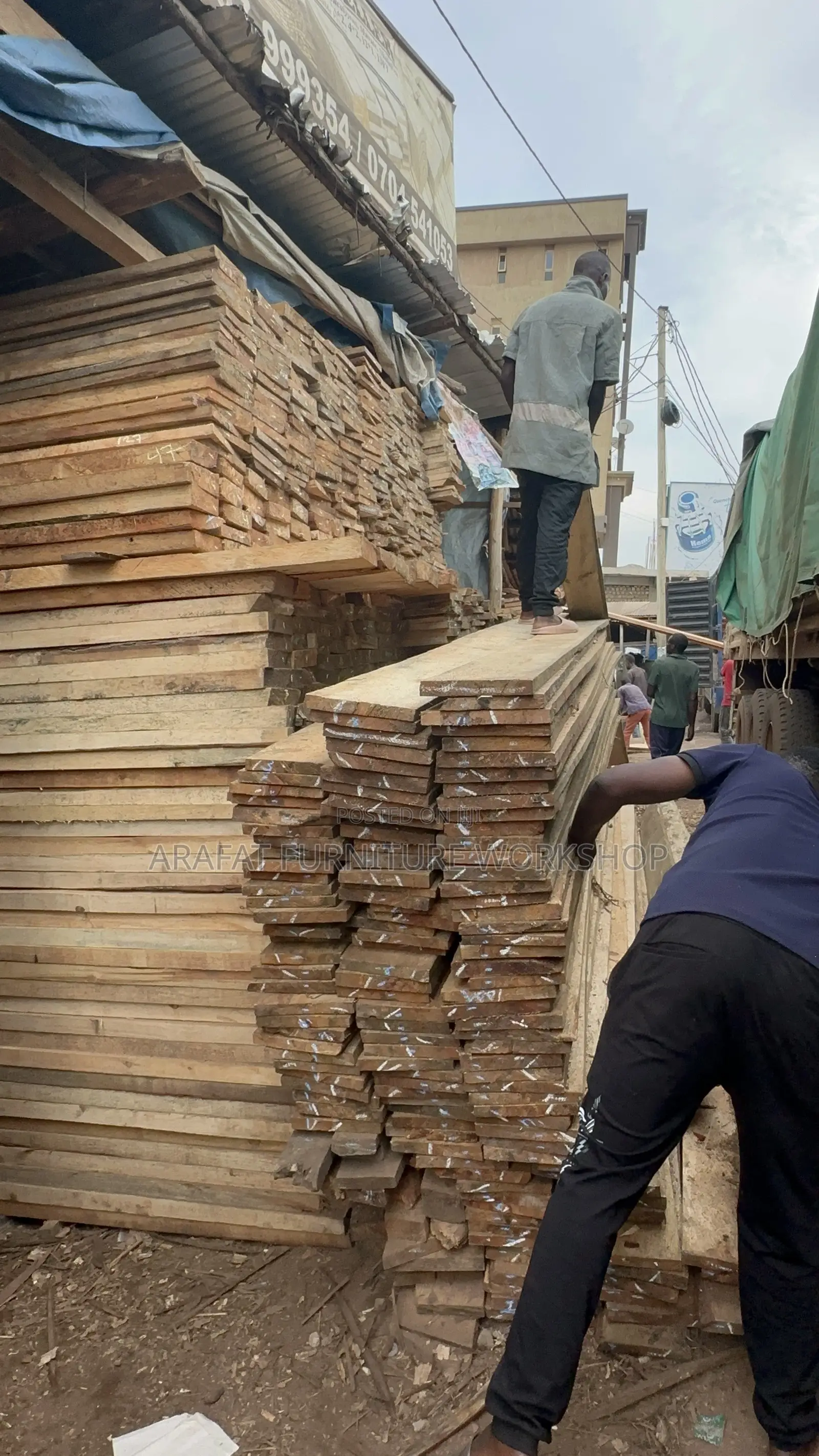 Pine and Eucalyptus Timber Building Supplier