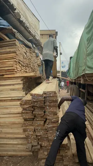 Pine and Eucalyptus Timber Building Supplier