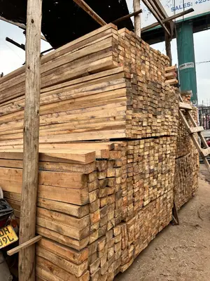 Eucalyptus and Pine Site Supplier