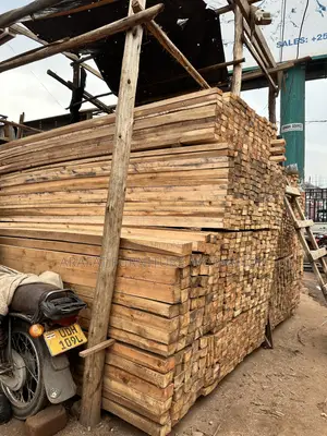 Eucalyptus and Pine Site Supplier